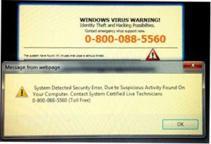 A screen shot of an actual fake warning