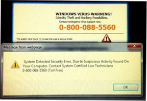 A screen shot of an actual fake warning 